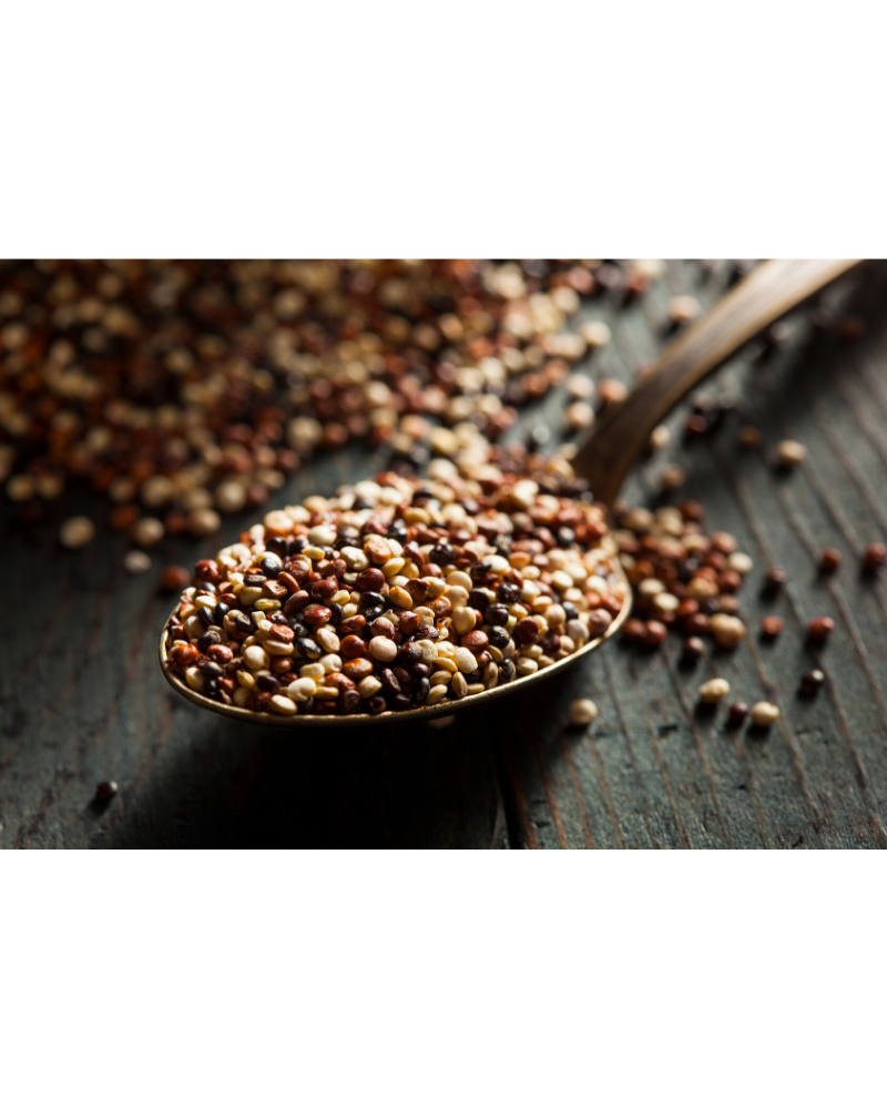 grains de quinoa non cuits